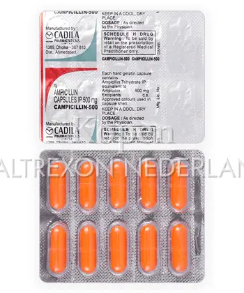 Ampicilline